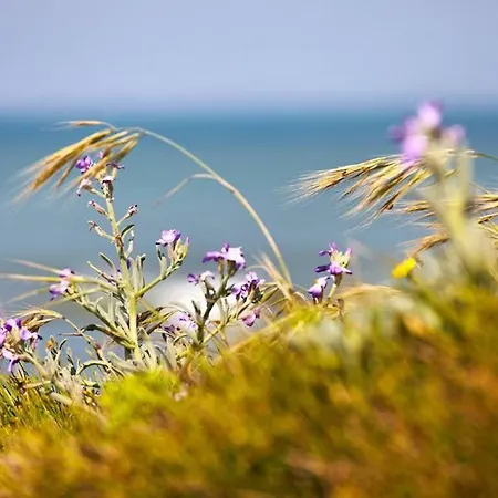 Apartment St Gilles - Acces Direct A La Grande Plage- Pour 3 *